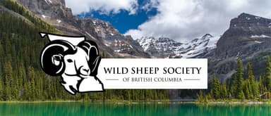 Wild Sheep Society of British Columbia